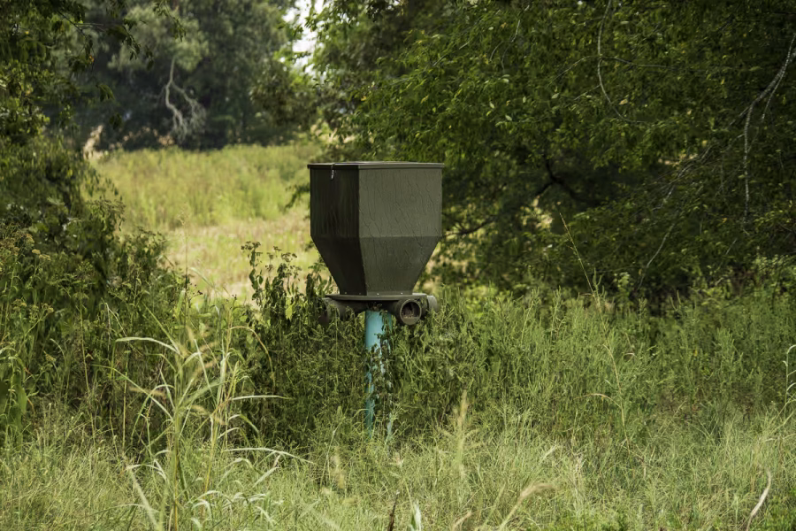Best Deer Feeders