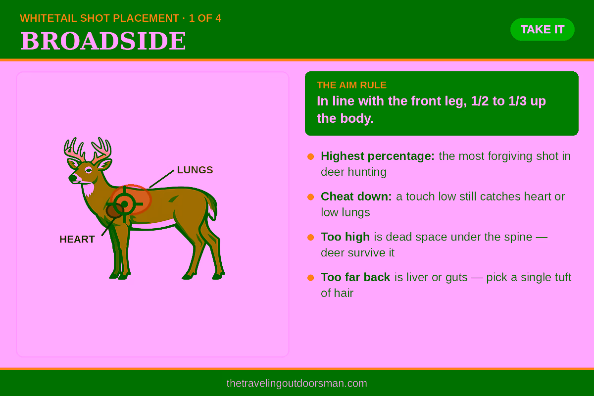 Broadside whitetail deer shot placement diagram with heart and lungs marked and aim point in line with the front leg