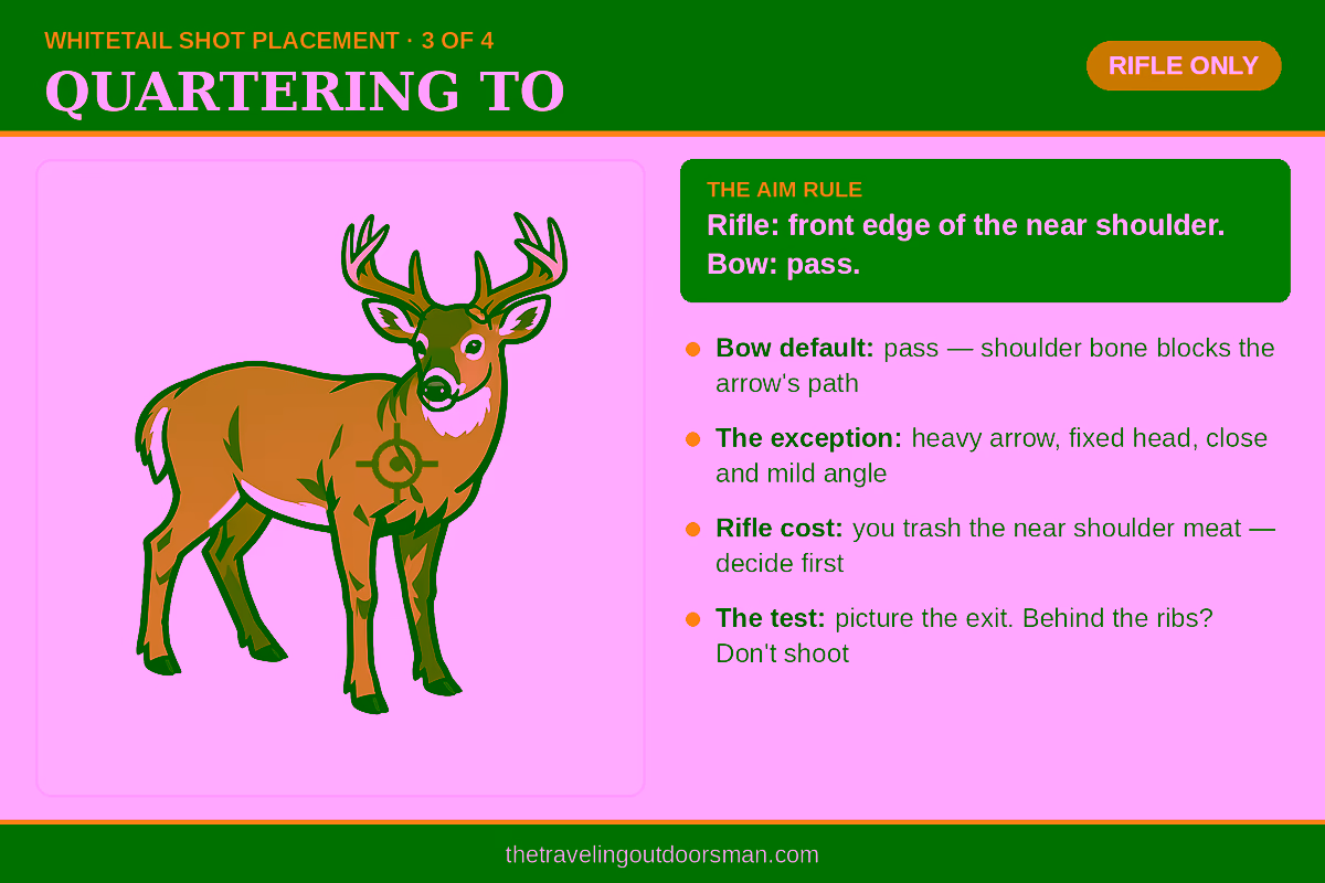 Quartering to whitetail deer shot placement diagram with rifle aim point on the front edge of the near shoulder