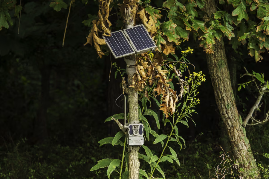 Tactacam Reveal Folding Solar Panel Review: One Summer, Zero Battery Runs