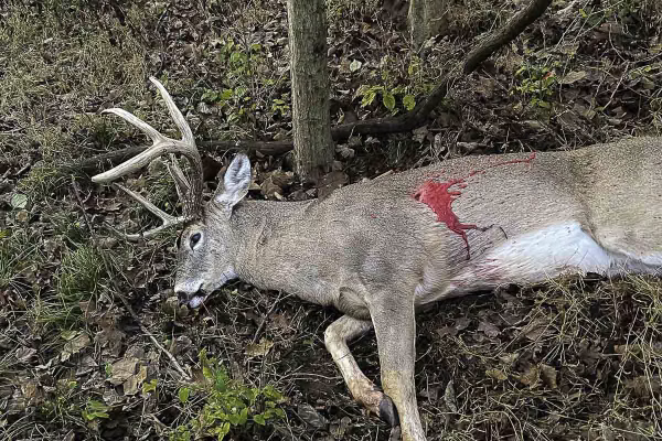Buck harvested with G5 Montec Broadhead