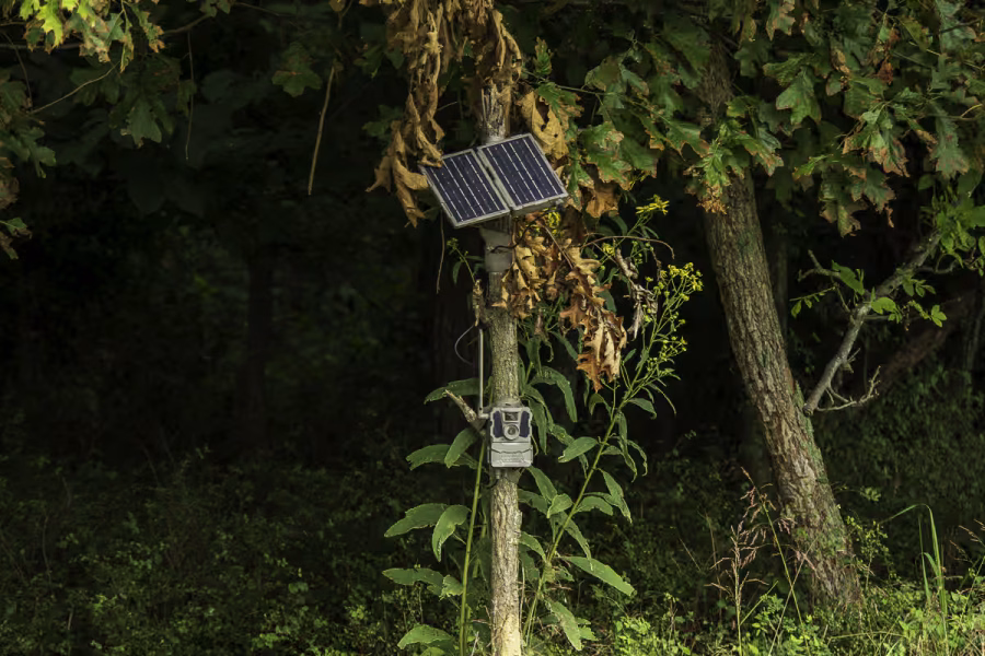 reveal folding solar panel tested with reveal pro x